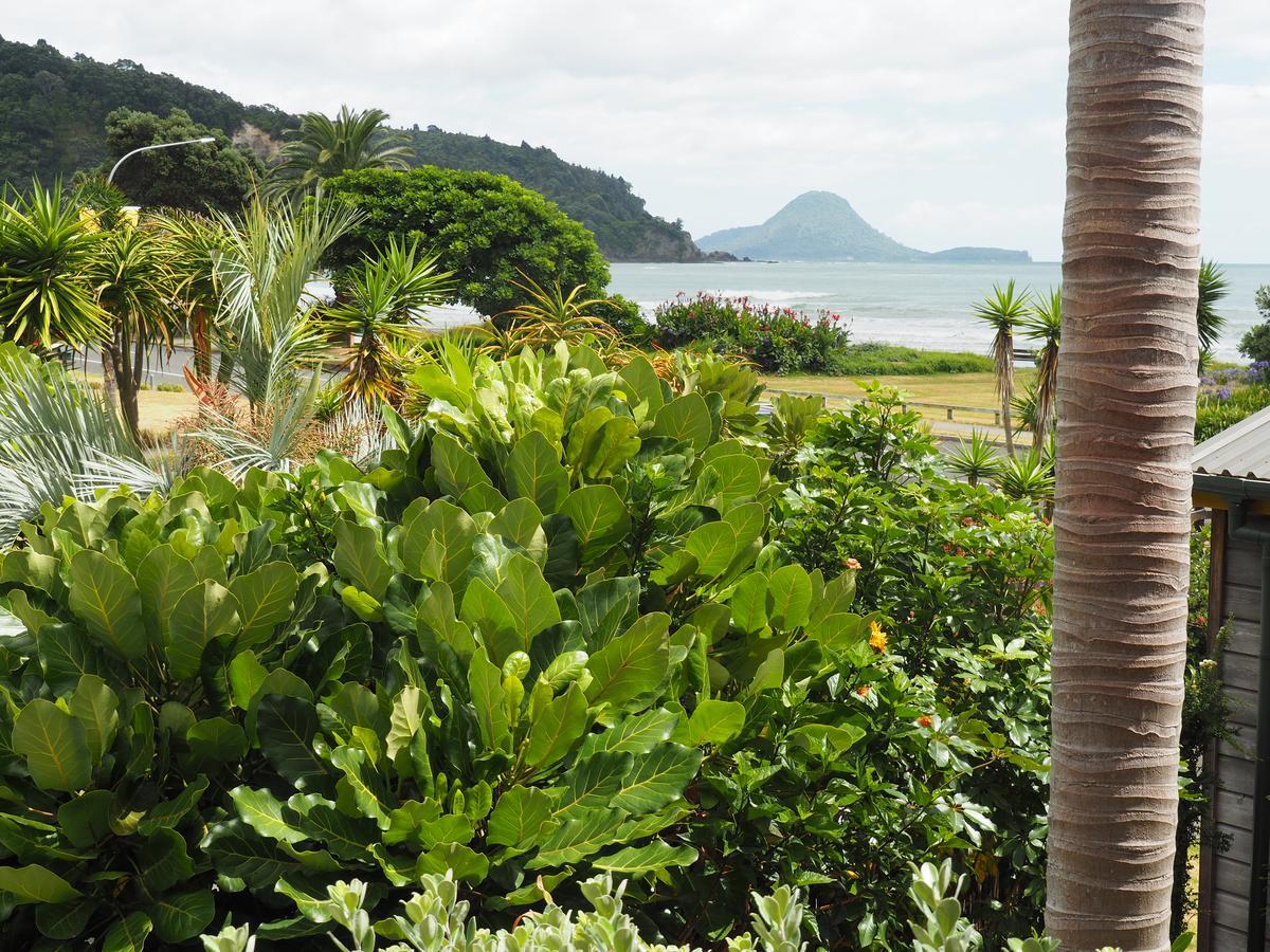 Aparthotel Ocean View à Ohope Extérieur photo